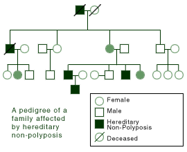 familyTree2